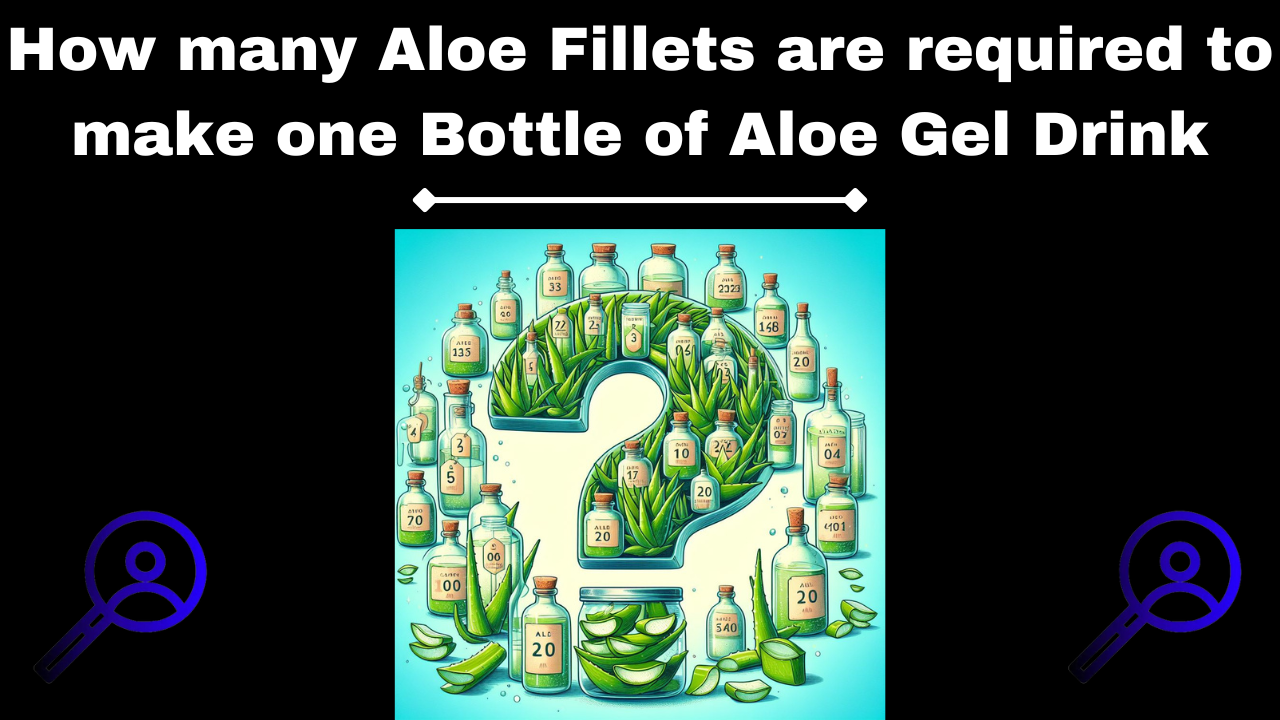 How many Aloe Fillets are required to make one Bottle of Aloe Gel Drink